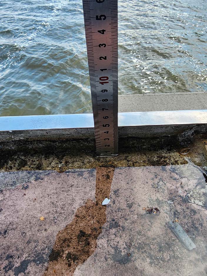 Вода застаивается под покрытием палуб